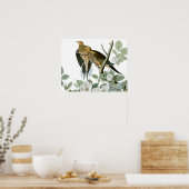 Carolina Pigeon Audubon Morning Dove Poster (Küche)