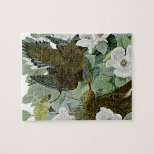 Carolina Pigeon Audubon Morning Dove Puzzle