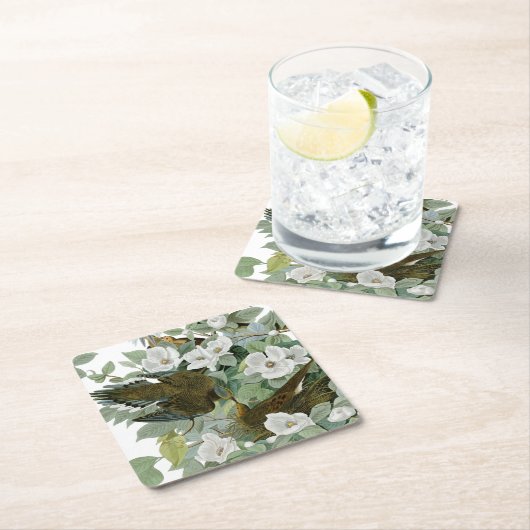 Carolina Pigeon Audubon Morning Dove Rechteckiger Pappuntersetzer (Vor Ort)