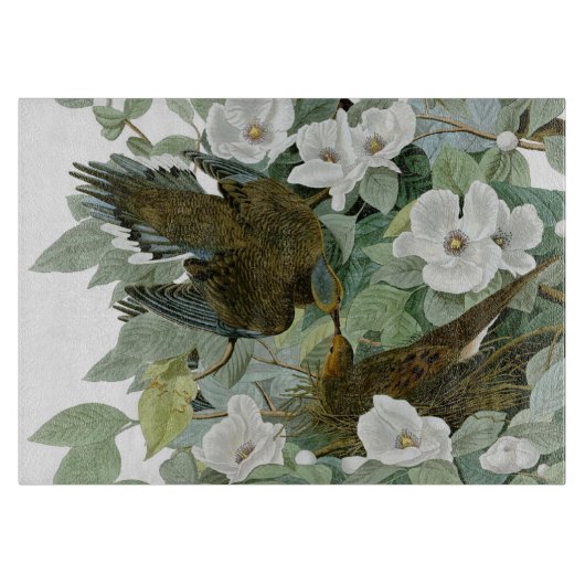 Carolina Pigeon Audubon Morning Dove Schneidebrett (Vorderseite)
