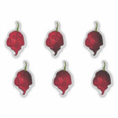 Carolina Reaper Chilli Pepper Sticker Set (Vorderseite)
