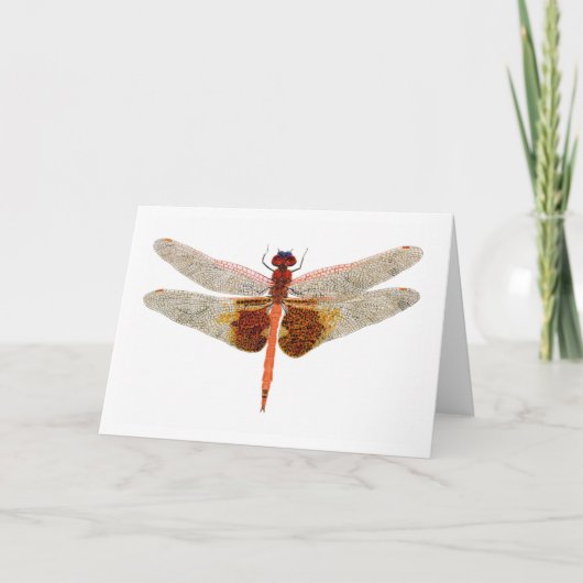 Carolina Saddlebags Dragonfly Karte (Vorderseite)
