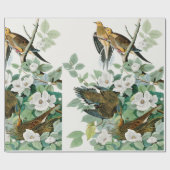 Carolina-Schildkröte-Taube, Vögel von Amerika Geschenkpapier (Flach)