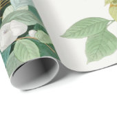 Carolina-Schildkröte-Taube, Vögel von Amerika Geschenkpapier (Rolleneckpunkt)