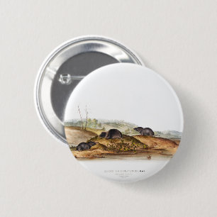 Carolina Shrew House Mouse Girl Boy Room Button