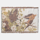 Carolina Taube oder Trauertaube Decke (Vorderseite)