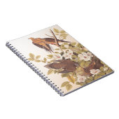 Carolina Taube oder Trauertaube Notizblock (Rechte Seite)