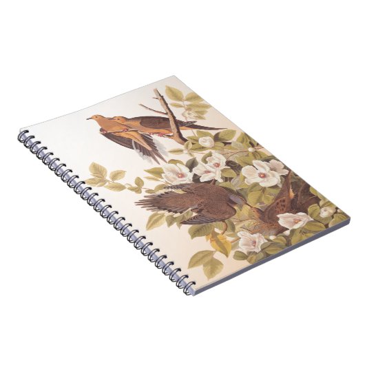 Carolina Taube oder Trauertaube Notizblock (Rechte Seite)