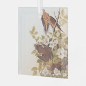 Carolina Taube oder Trauertaube Ornament Aus Glas (Vorderseite links)