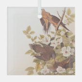 Carolina Taube oder Trauertaube Ornament Aus Glas (Vorderseite)