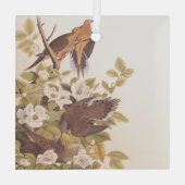 Carolina Taube oder Trauertaube Ornament Aus Glas (Rückseite)