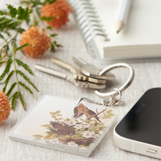 Carolina Taube oder Trauertaube Schlüsselanhänger (Vorderseite rechts)