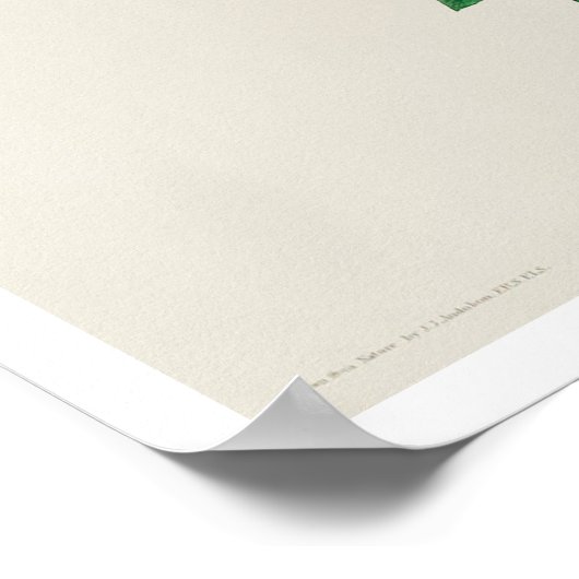 Carolina Titmouse von Audubon Poster (Ecke)