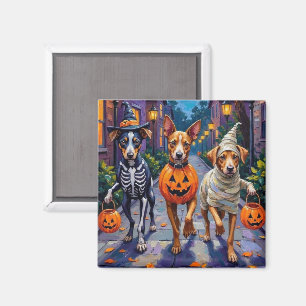 Carolina Trick-or-Treating in Halloween-Kostüm Magnet