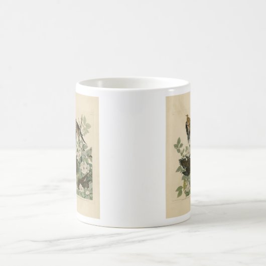 Carolina Turtle Dove Mourning Dove Audubon Vögel Kaffeetasse (Mittel)