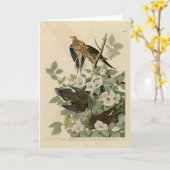 Carolina Turtle Dove Mourning Dove Audubon Vögel Karte (Gelbe Blume)