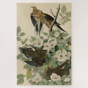 Carolina Turtle Dove Mourning Dove Audubon Vögel Puzzle