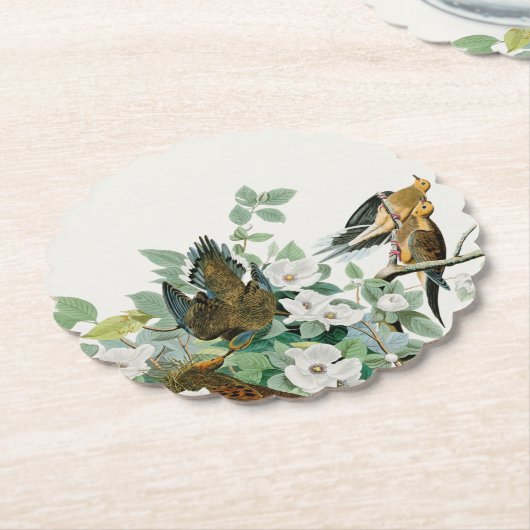 Carolina Turtle Taube, Vögel Amerikas von John Jam Untersetzer (angewinkelt)