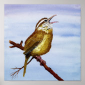 Carolina Wren Art Poster (Vorne)