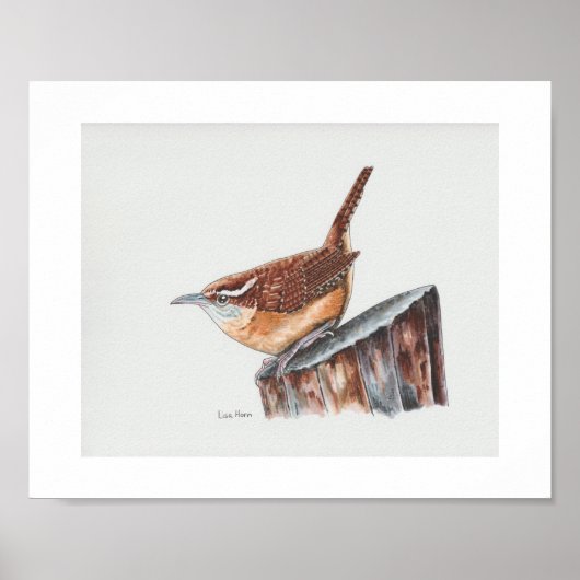 Carolina Wren Art Print Poster (Vorne)
