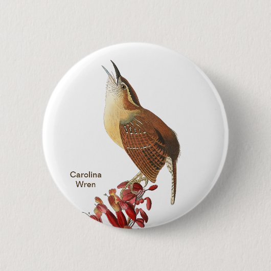 Carolina Wren, Audubon, Backyard Birdwatcher Bird Button (Vorderseite)