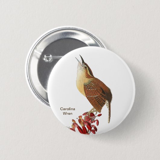 Carolina Wren, Audubon, Backyard Birdwatcher Bird Button (Vorne & Hinten)