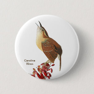 Carolina Wren, Audubon, Backyard Birdwatcher Bird Button