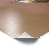 Carolina Wren Bird Fotodruck (Ecke)