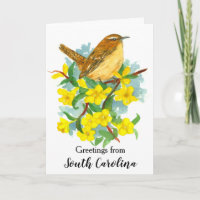 Carolina Wren Bird Yellow Jessamine Blank