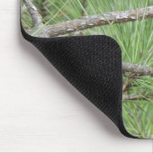 Carolina Wren in Pine Tree Mousepad (Ecke)