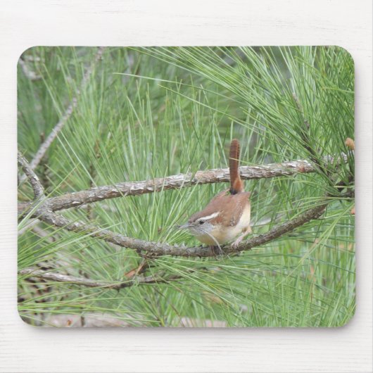 Carolina Wren in Pine Tree Mousepad (Vorne)