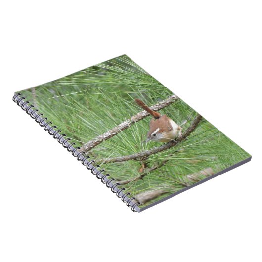 Carolina Wren in Pine Tree Notizblock (Rechte Seite)