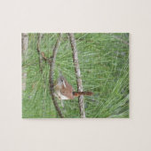 Carolina Wren in Pine Tree Puzzle (Horizontal)