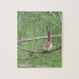 Carolina Wren in Pine Tree Puzzle