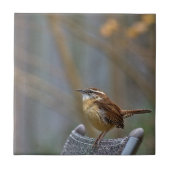 Carolina Wren Keramik Tile Fliese (Vorderseite)