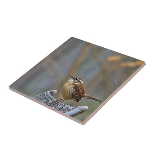Carolina Wren Keramik Tile Fliese (Seite)