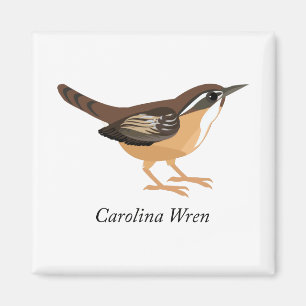 Carolina Wren Magnet