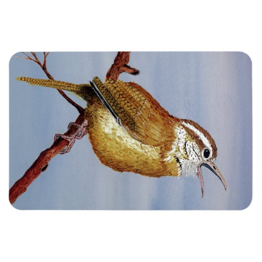 Carolina Wren Magnet (Horizontal)