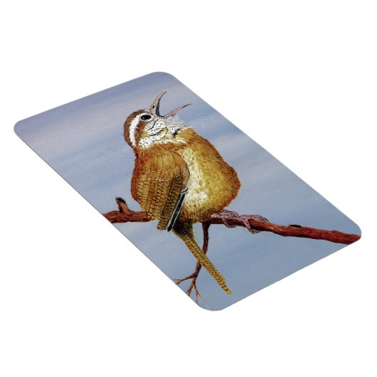 Carolina Wren Magnet (Rechte Seite)
