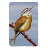 Carolina Wren Magnet (Vertikal)