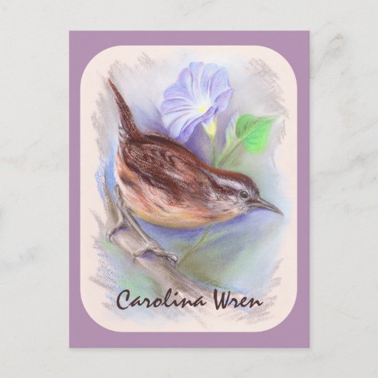 Carolina Wren mit den Blume der Morning Glory Postkarte (Vorderseite)
