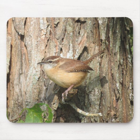 Carolina Wren Mouse Pad Mousepad (Vorne)