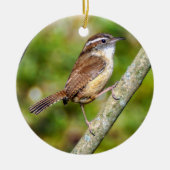 Carolina Wren Ornament (Vorne)