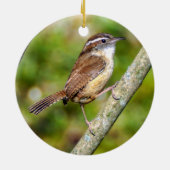 Carolina Wren Ornament (Hinten)