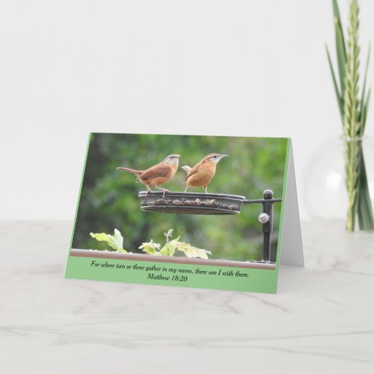 Carolina Wren Pair Blank Card Karte (Vorderseite)