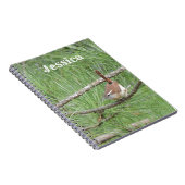 Carolina Wren, Pine Tree Notizblock (Rechte Seite)