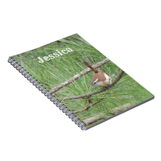 Carolina Wren, Pine Tree Notizblock (Rechte Seite)
