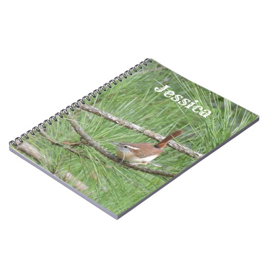 Carolina Wren, Pine Tree Notizblock (Linke Seite)