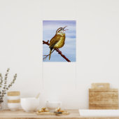 Carolina Wren Poster (Küche)