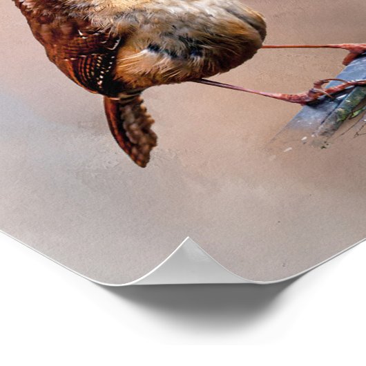 Carolina Wren Poster (Ecke)